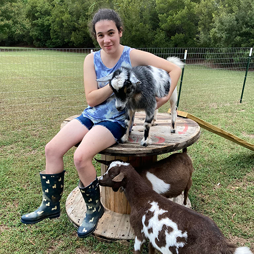 Goats