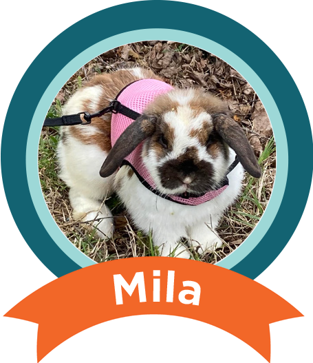 Mila