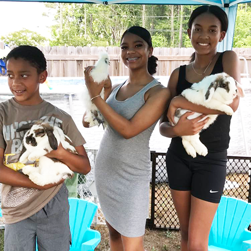 Bunnies